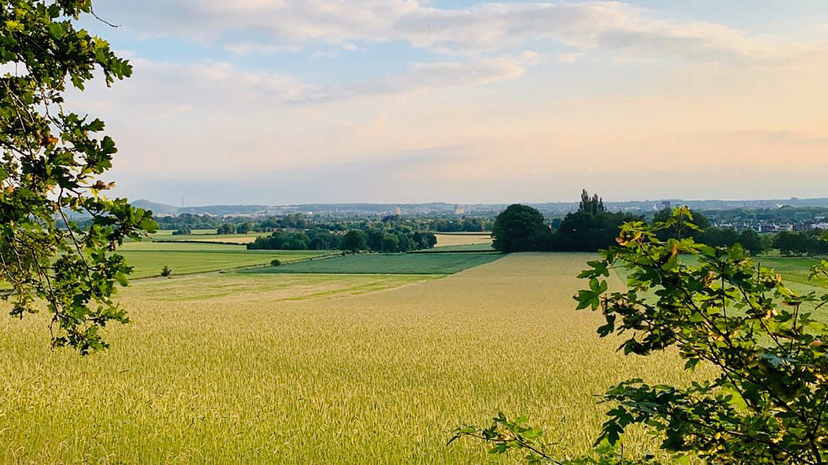De-Dellen-landschap-liggend