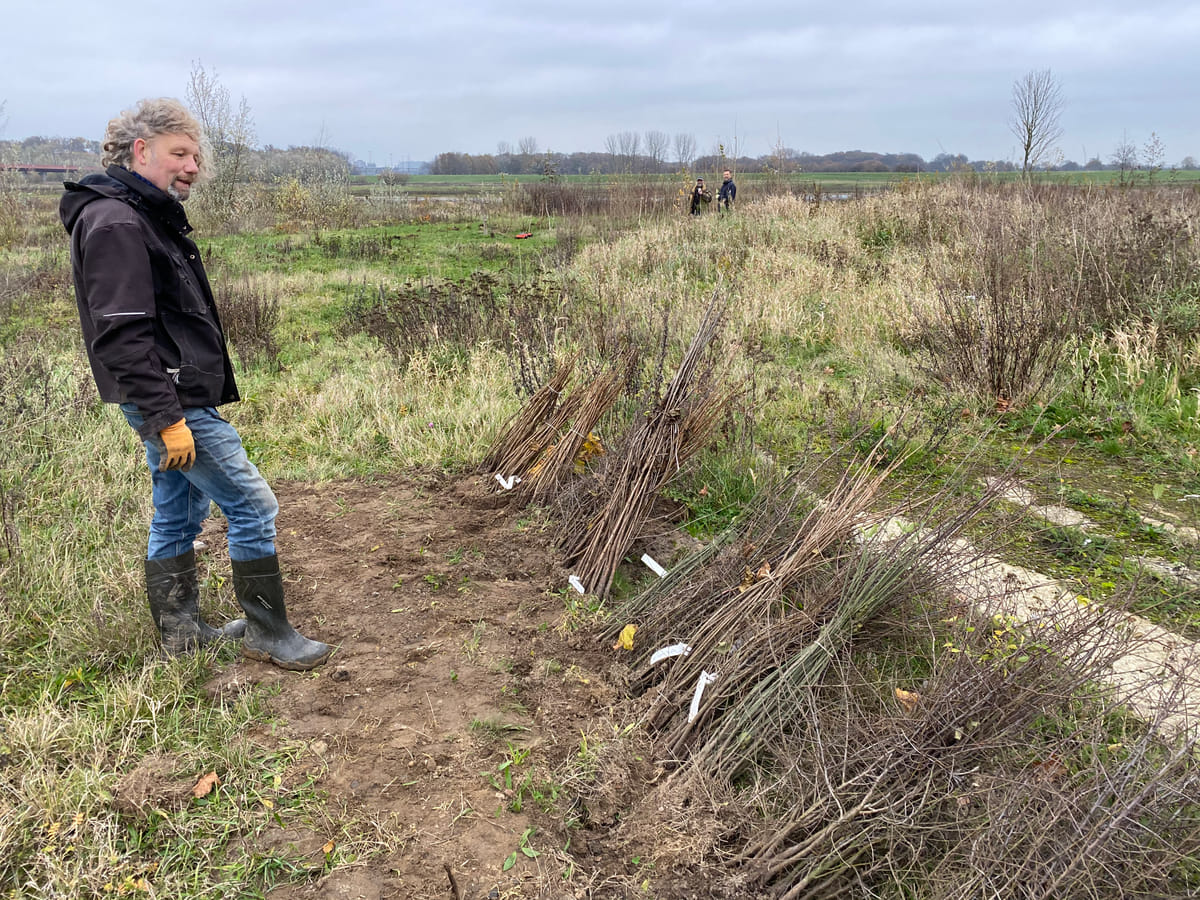 bomen planten aan de IJssel